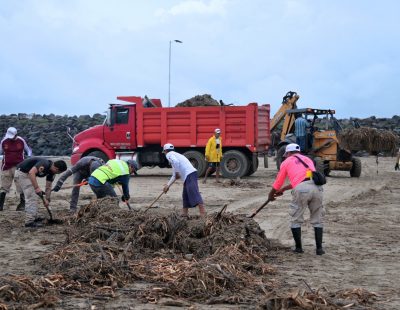Gobierno y Sociedad Civil participaron en una intensa jornada de limpieza de playas en Tuxpan