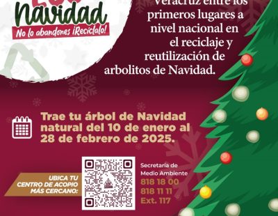 El 10 de enero inicia la campaña Eco Navidad, para reciclar tu árbol