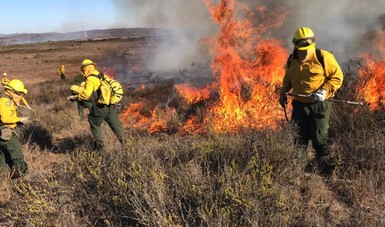 Gobierno de Tuxpan exhorta a la población a no realizar quemas en exteriores para evitar grandes incendios en zonas suburbanas y rurales