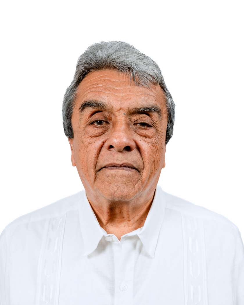 Ing. Gonzalo Monroy García