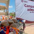 Tuxpan impulsa el bienestar animal con exitosa campaña de adopción