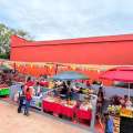Daniel Cortina cumple compromiso y ordena el centro de Tuxpan con nuevo Mercado Ambulante