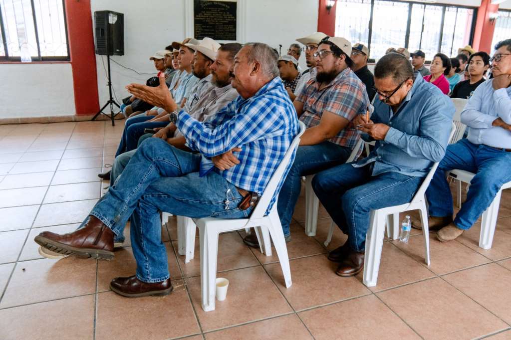 Capacitación ganadera en Tuxpan sobre inseminación artificial y mejoramiento genético