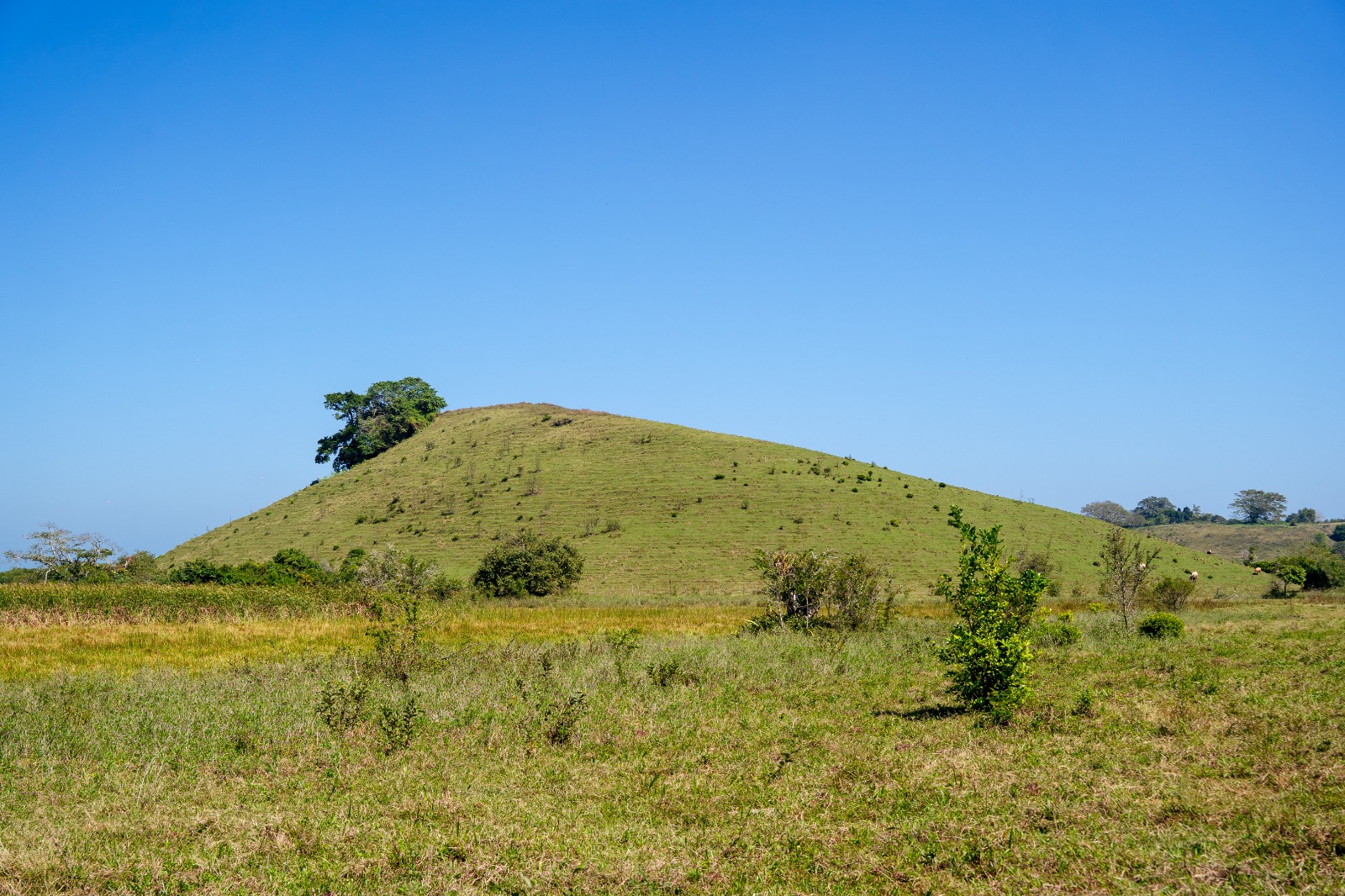 Tumilco