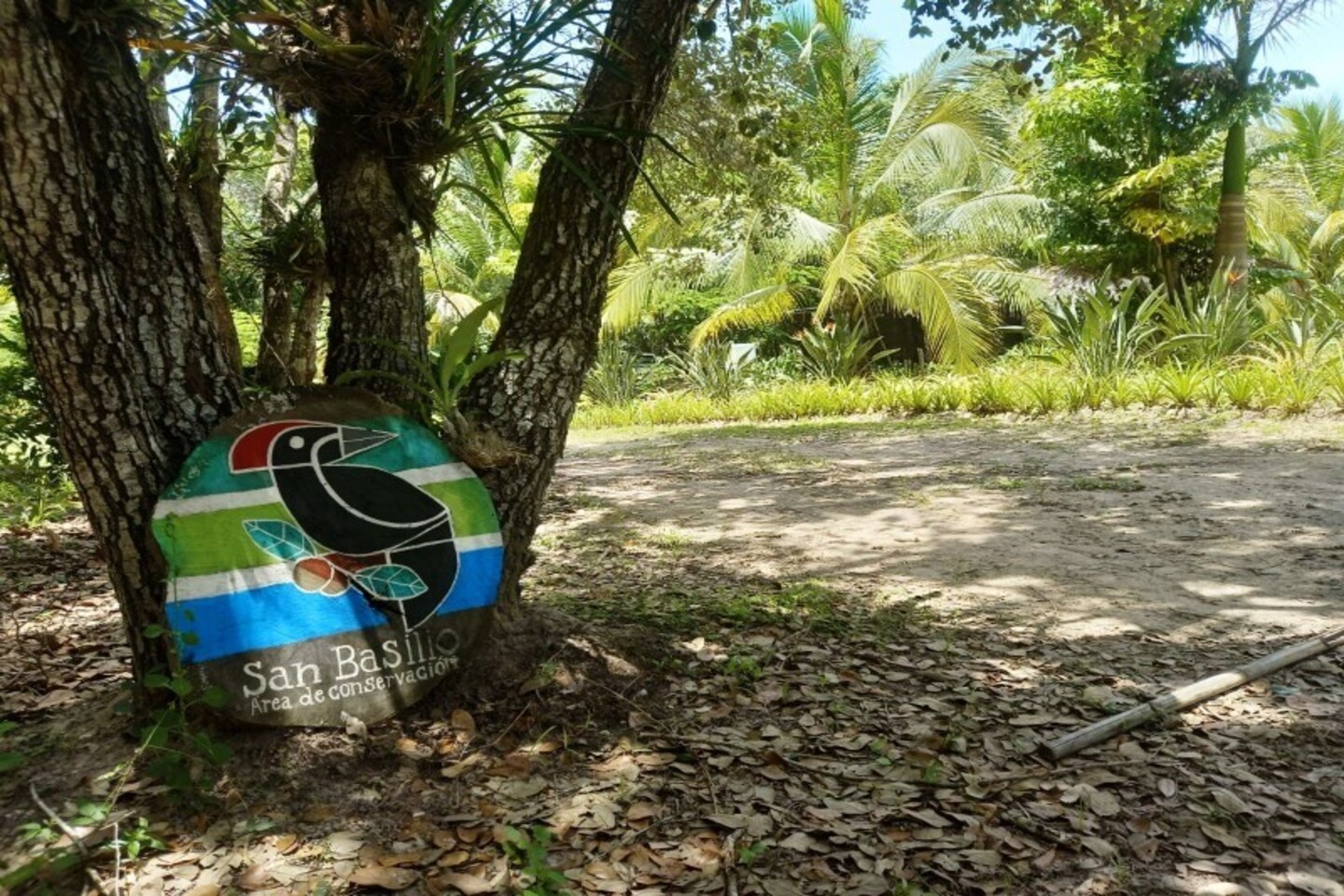 Área de Protección y Conservación San Basilio