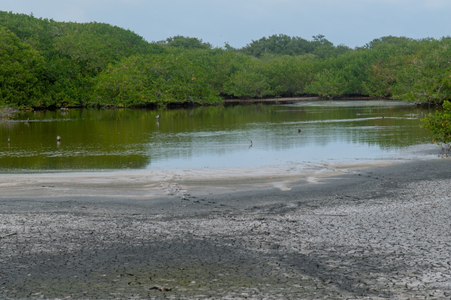 Área de Protección y Conservación San Basilio