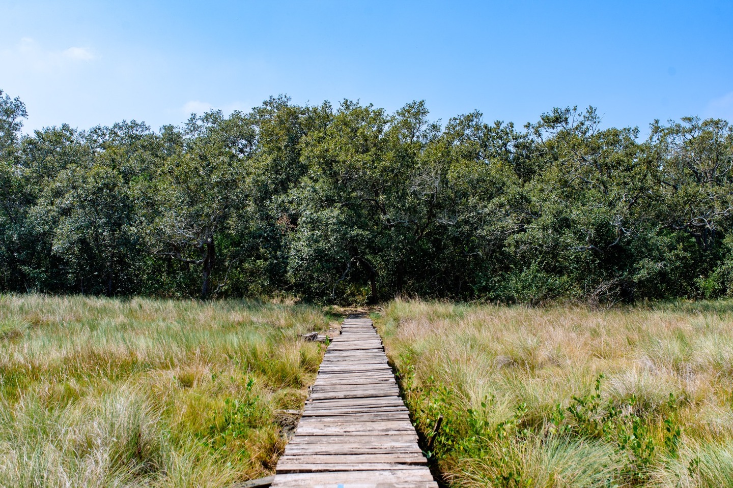 Área de Protección y Conservación San Basilio