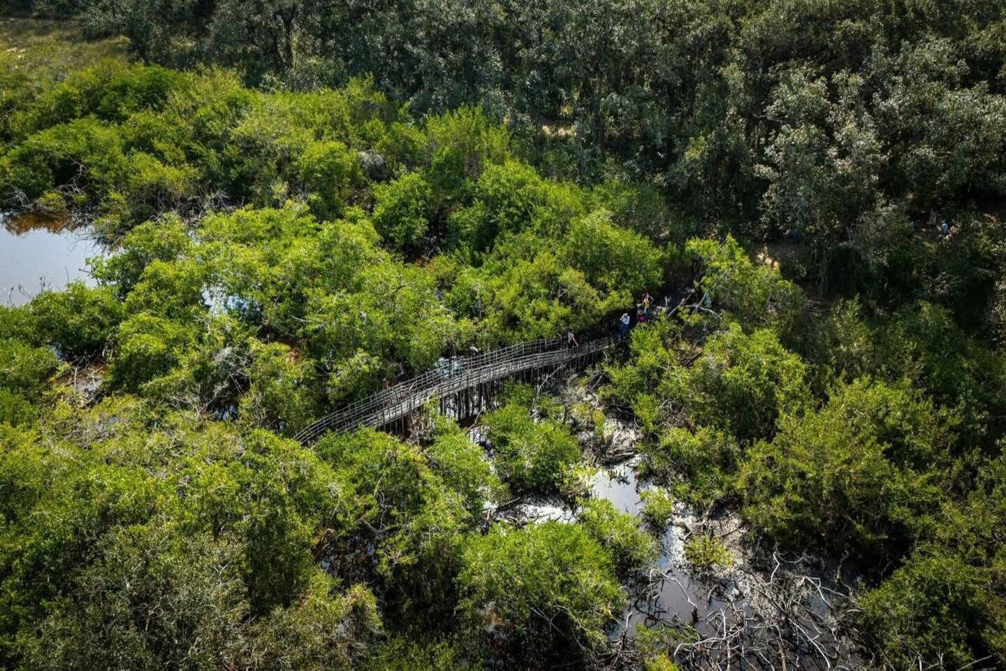 Área de Protección y Conservación San Basilio