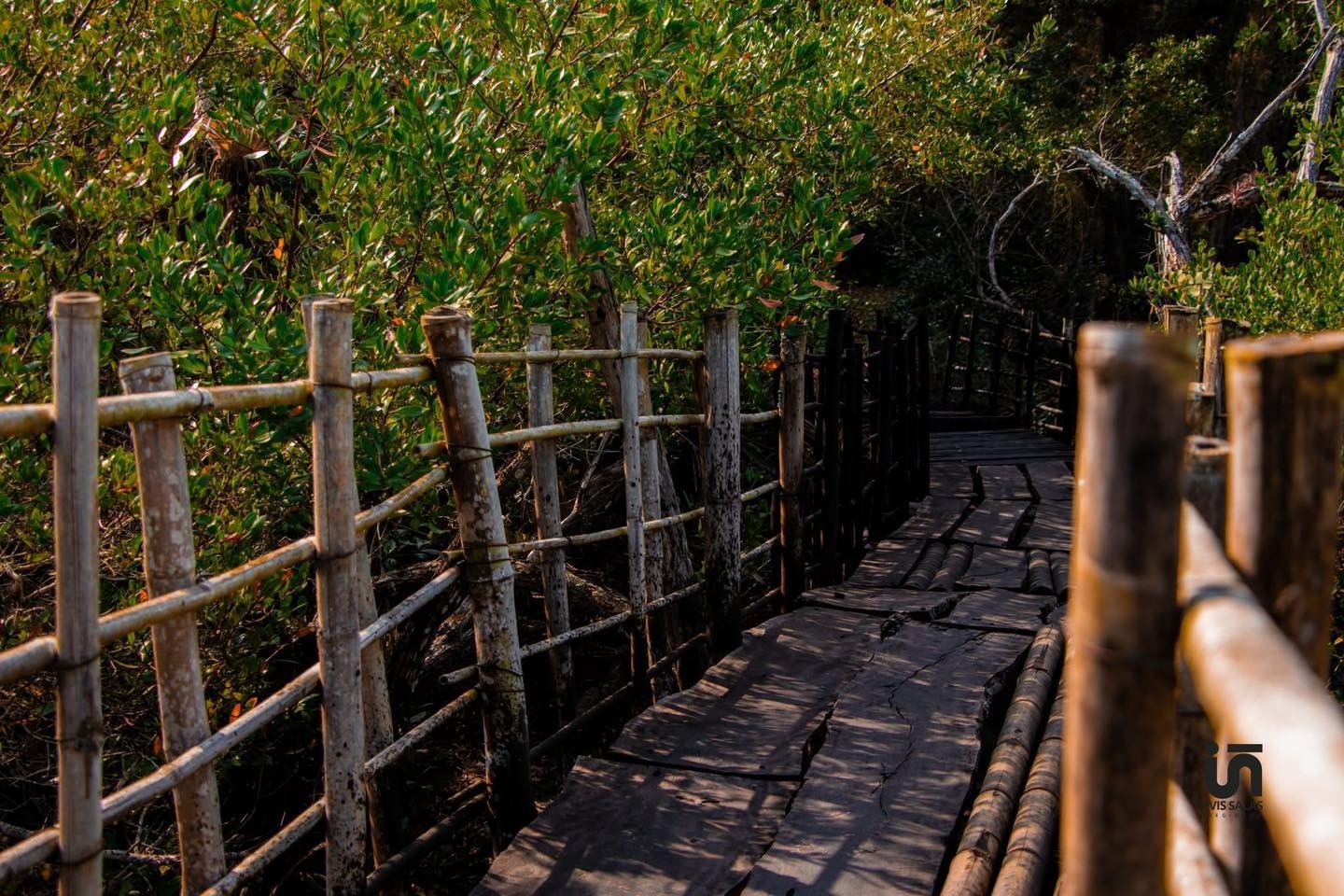 Área de Protección y Conservación San Basilio