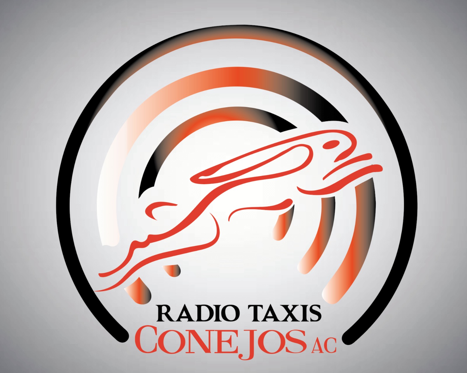 Radio Taxis Conejos A.C.